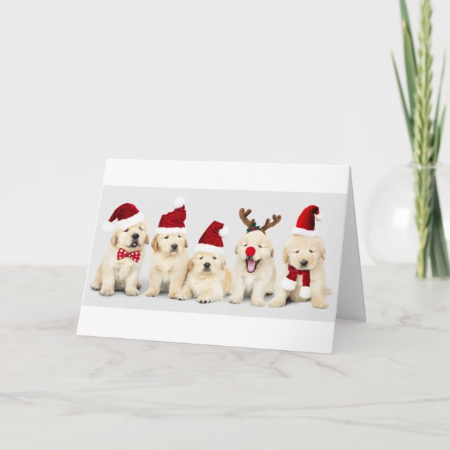 Cachorros de Labrador - Tarjeta de Navidades (Anverso)