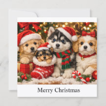 Cachorros de Navidad