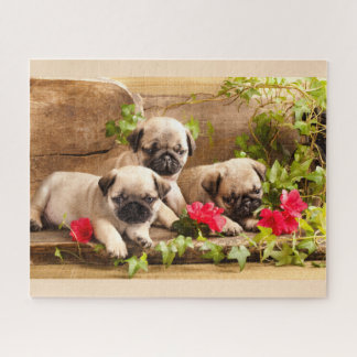 Cachorros de pumigueo en el rompecabezas de las fl
