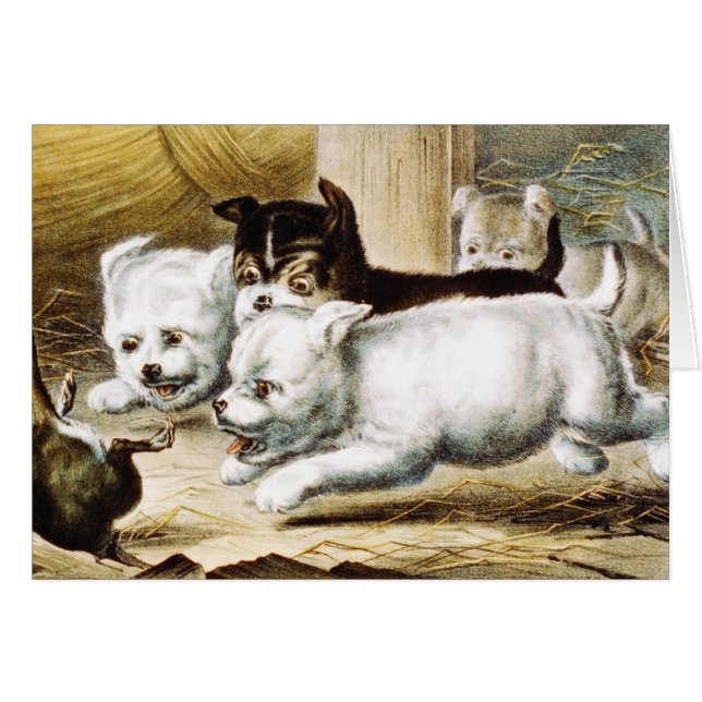Cachorros de Rat Terrier - Arte Antiguo Refinado (Anverso (Horizontal))