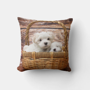 Cachorros malteses Mascota Cojín decorativo perro 