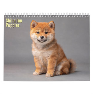 Cachorros Shiba Inu Calendario 2027