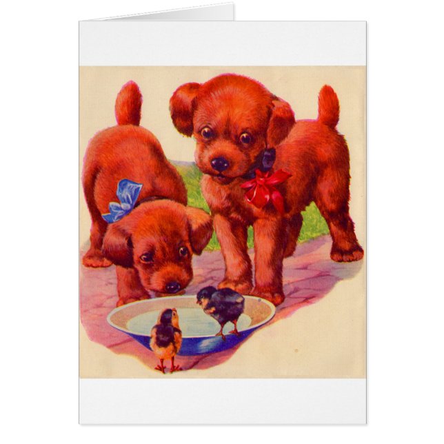 Cachorros y aves de los años 1930 (Frente)