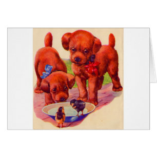 Cachorros y aves de los años 1930