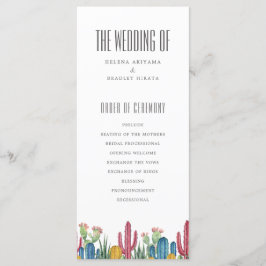 Cacti colorido | Tema del desierto | Programa de b