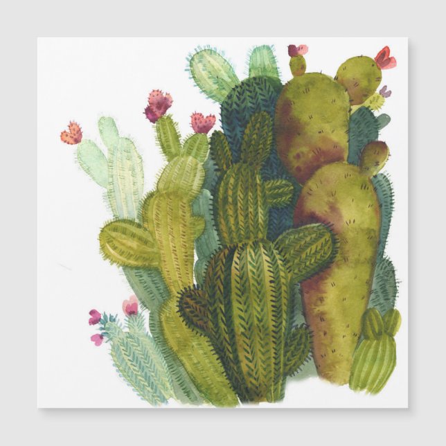 Cacti, suculentos: acuarela vintage. (Anverso)