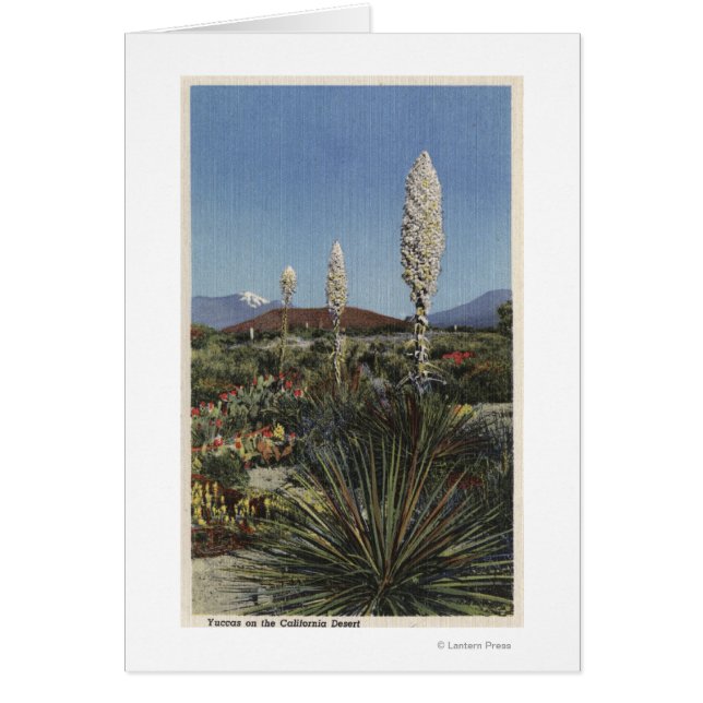 Cacti Yucca en flor en el desierto (Frente)