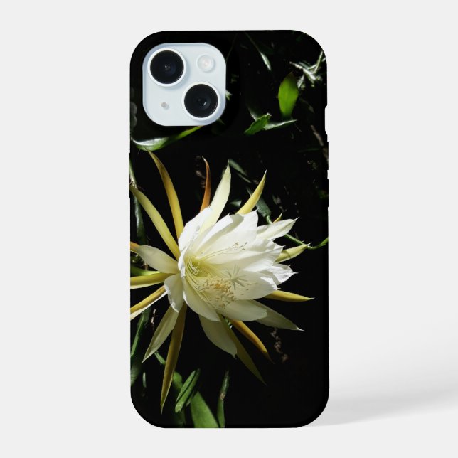 Cactus Bloom (Reverso )