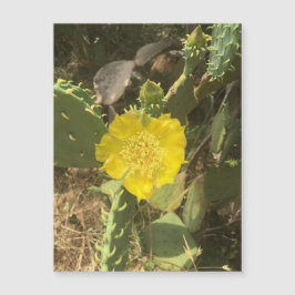 Cactus Bloom Magnet