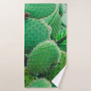 Cactus, cactus de pera espinosa, espinas de cactus