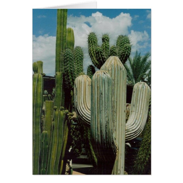 Cactus Card (Frente)