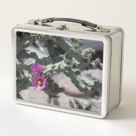 Cactus Cholla en flor