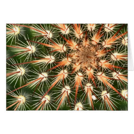 Cactus con tarjeta de saludo Starburst Spines