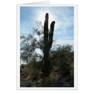 Cactus de Arizona (espacio en blanco)