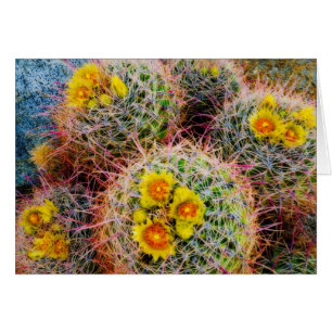 Cactus de barril en primer plano, California