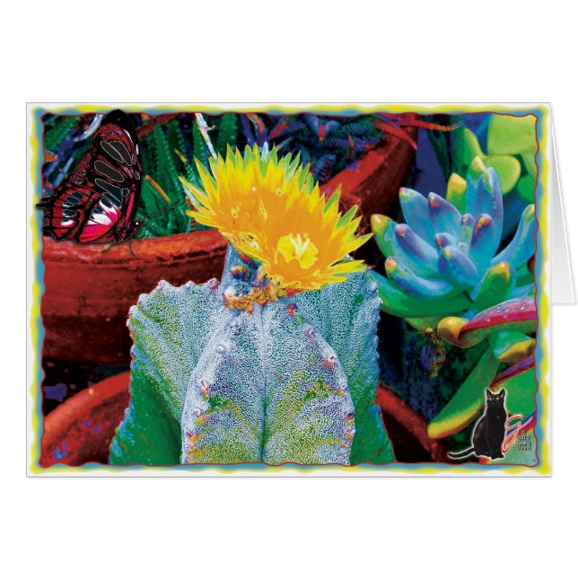 Cactus de Caliente (Anverso (Horizontal))