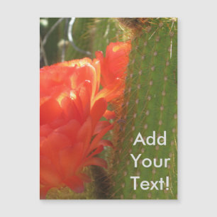 Cactus de la Antorcha Roja