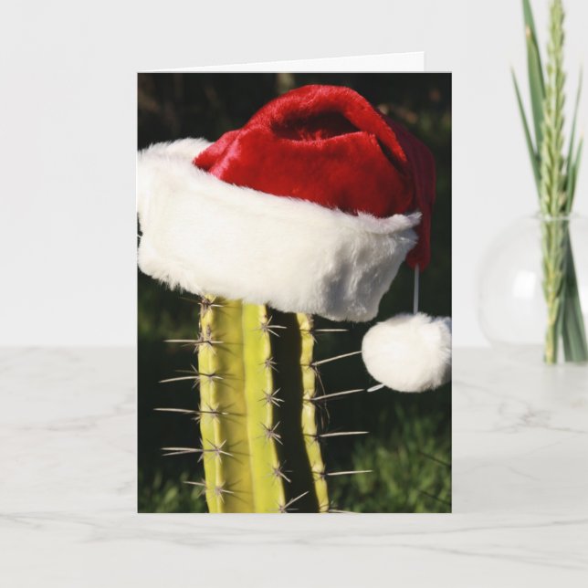 Cactus de las Felices Navidad (Anverso)