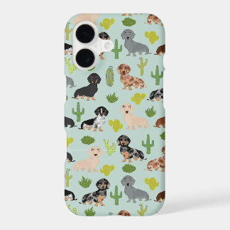 Cactus de menta de perro de Dachshund