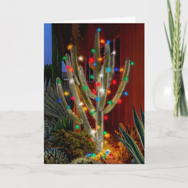 Cactus de Navidad Resplandeciente, Tarjeta de Vaca (Anverso)