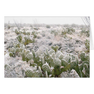 Cactus de nieve
