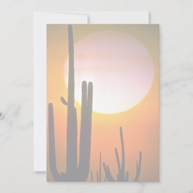 Cactus de Saguaro, desierto de Sonoran, desierto d (Anverso)