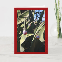 Cactus del árbol de navidad