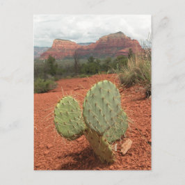 Cactus del higo chumbo en Sedona, Arizona - postal