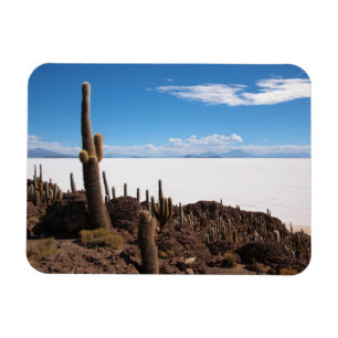 Cactus en el imán rectangular Salar de Uyuni