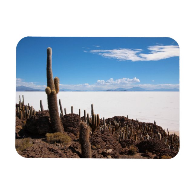 Cactus en el imán rectangular Salar de Uyuni (Horizontal)