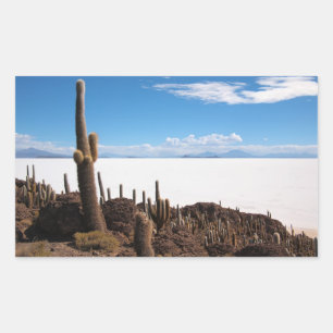 Cactus en el pegatina rectangular Salar de Uyuni