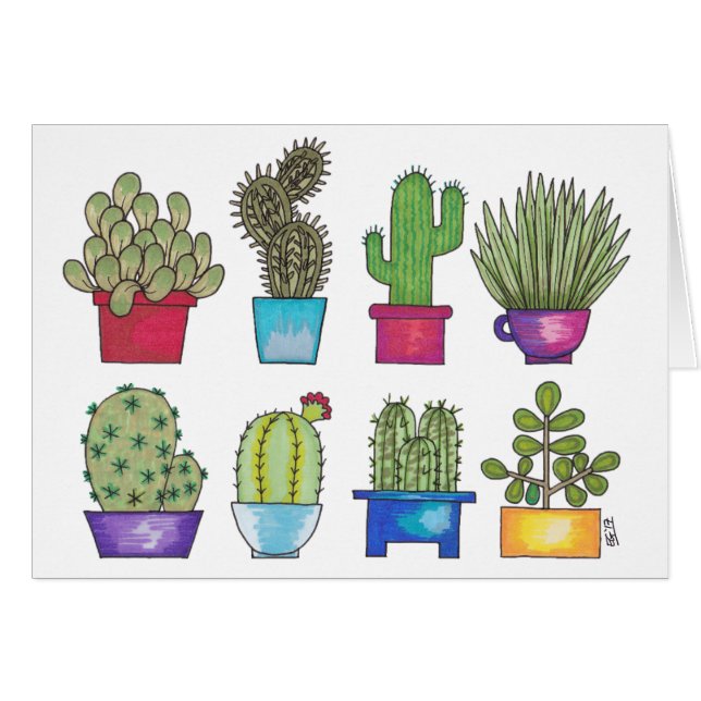 Cactus en potes (Anverso (Horizontal))