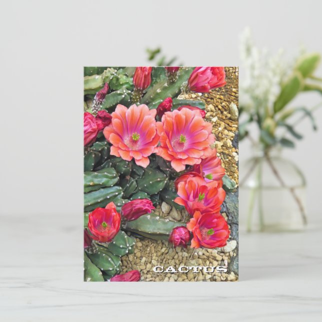 Cactus: Flat Card (Anverso de pie)