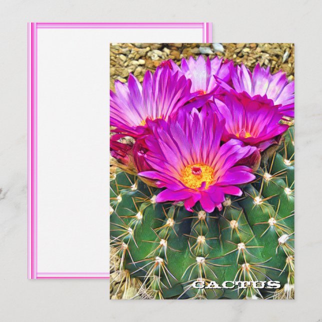 Cactus: Flat Card (Anverso / Reverso)