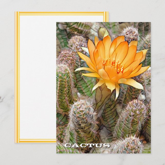 Cactus: Flat Card (Anverso / Reverso)