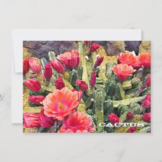 Cactus: Flat Card (Anverso)