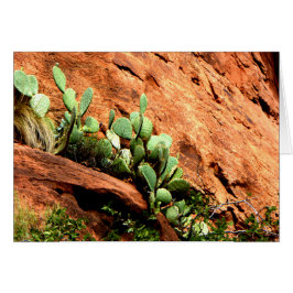 Cactus Garden Zion Parque Nacional UT Blank