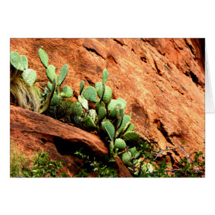 Cactus Garden Zion Parque Nacional UT Blank