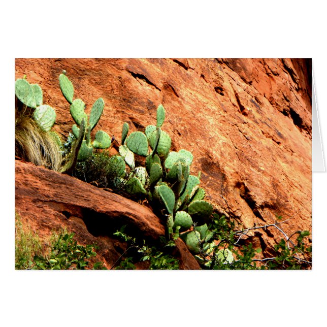 Cactus Garden Zion Parque Nacional UT Blank (Anverso (Horizontal))