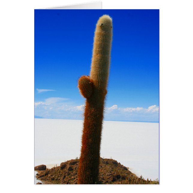 cactus gigante (Frente)