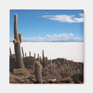 Cactus gigante en el imán de Salar de Uyuni
