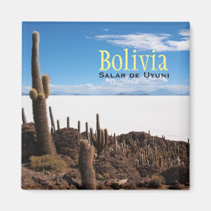 Cactus gigante en el imán del texto de Salar de