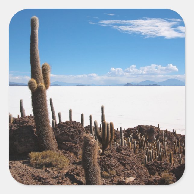 Cactus gigante en el pegatina fotográfico Salar de (Anverso)