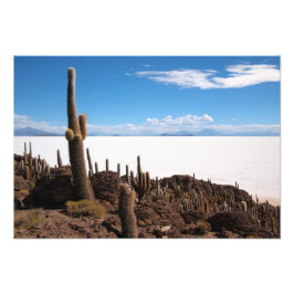 Cactus gigante en la foto impresa de Salar de Uyun