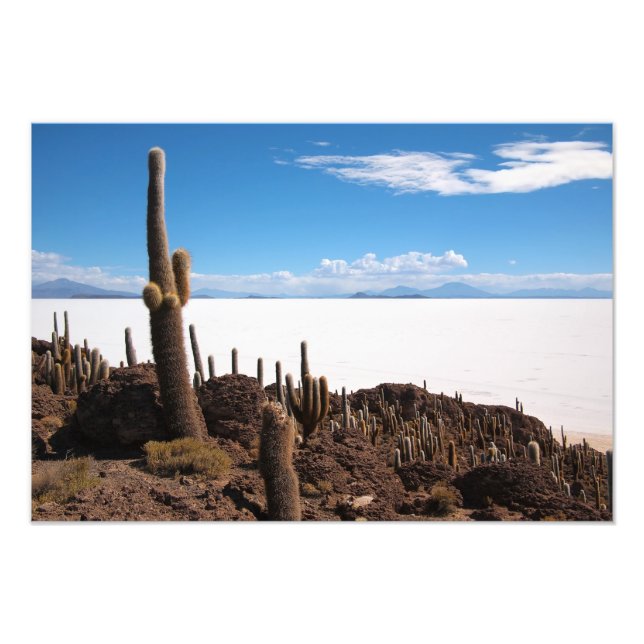 Cactus gigante en la foto impresa de Salar de Uyun (Frente)