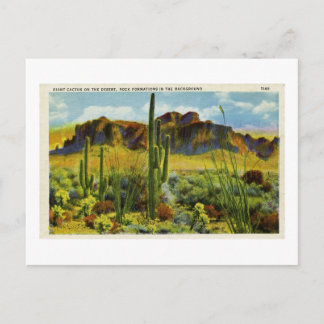 Cactus gigantes en el paisaje desértico de postal