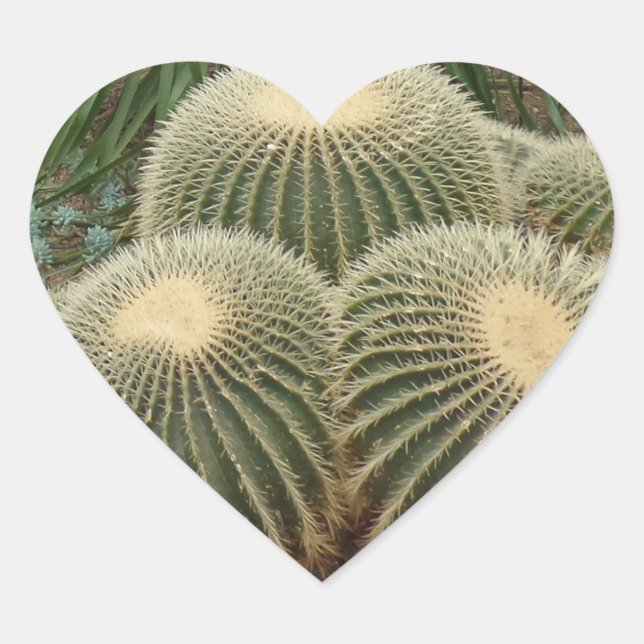 Cactus Heart Pegatina (Anverso)