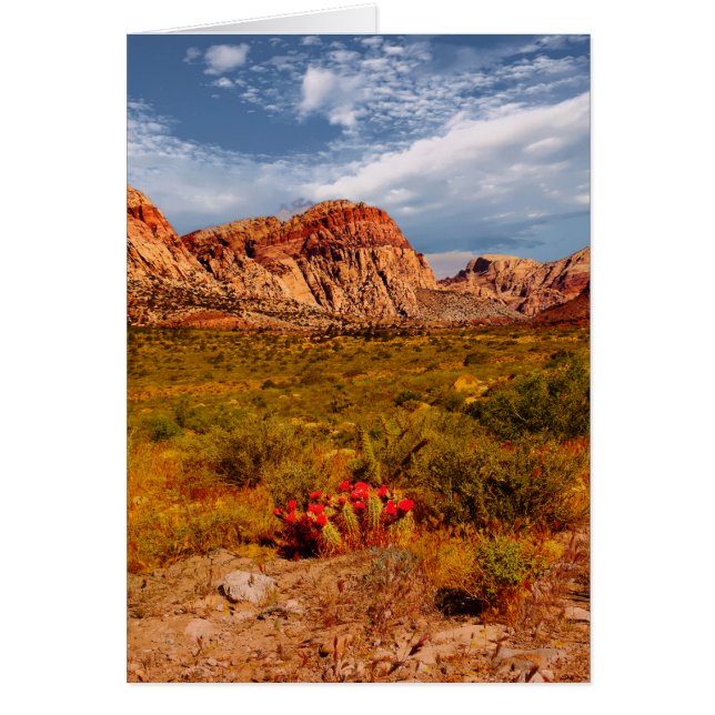 Cactus in the Desert, Southwest, Blank Inside (Frente)