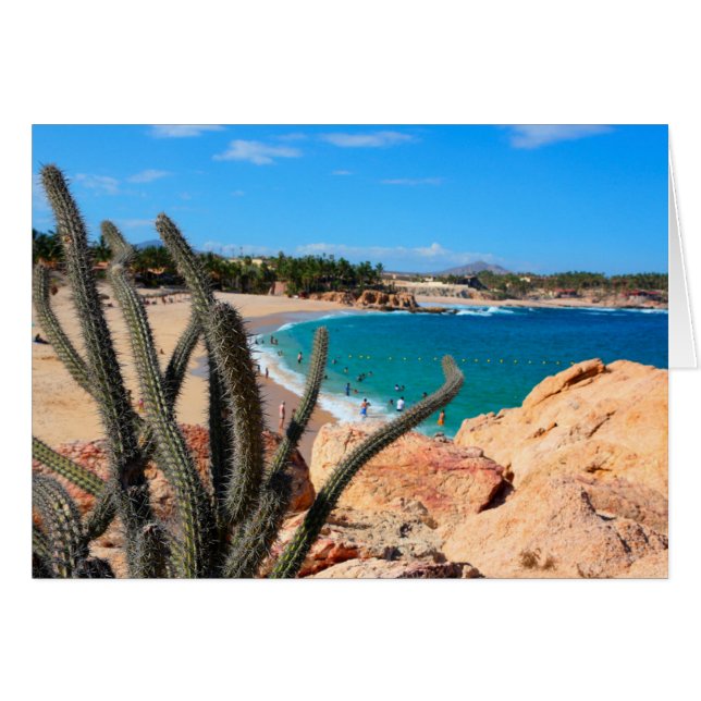 Cactus On Rocky Hilltop Over Sandy Beach (Anverso (Horizontal))