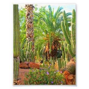 Cactus, palmas y flores - impresión de la foto